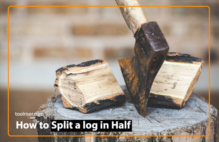 How to Split a Log in Half: Step By Step Guide 2024